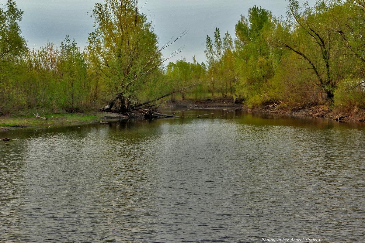 Красивый пруд - Андрей Ситников
