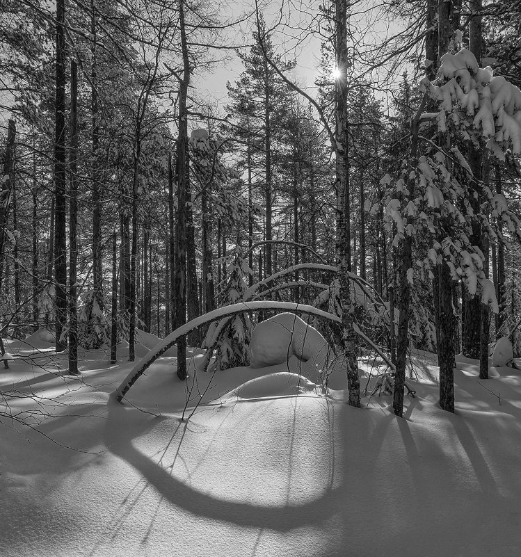 Снежные арки - vladimir Bormotov
