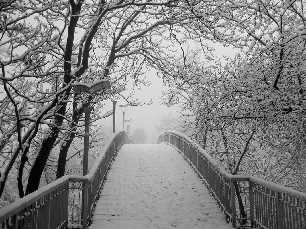 Туманный февраль - Елена 