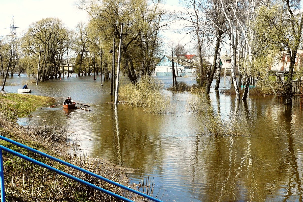 разлив р.Болвы в Брянске - Леонид Натапов