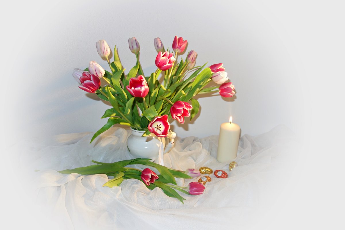 "....Я окунаюсь в сон очарований, Когда мне дарят нежные тюльпаны..." - Galina Dzubina