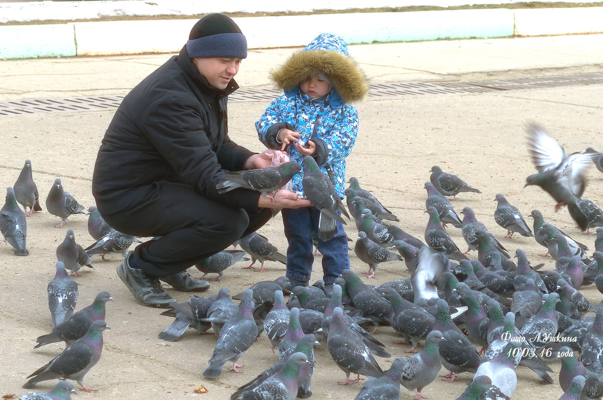 *** - Анатолий Уткин