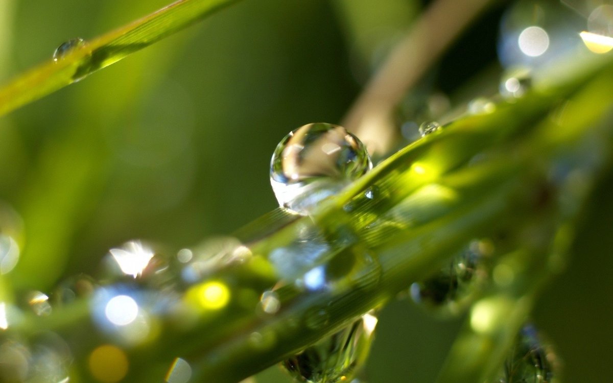 waterdrops - ~ Backstage ~ N.