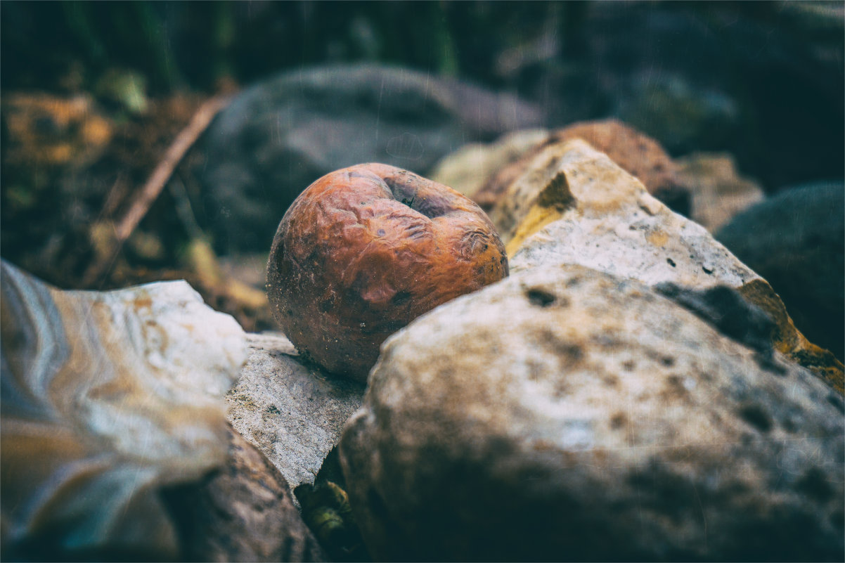 Nature Morte - Алексей Фотограф Михайловка