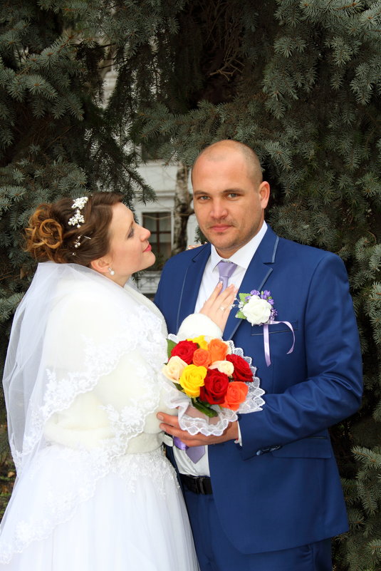 Жених и невеста - Александр Иваницкий