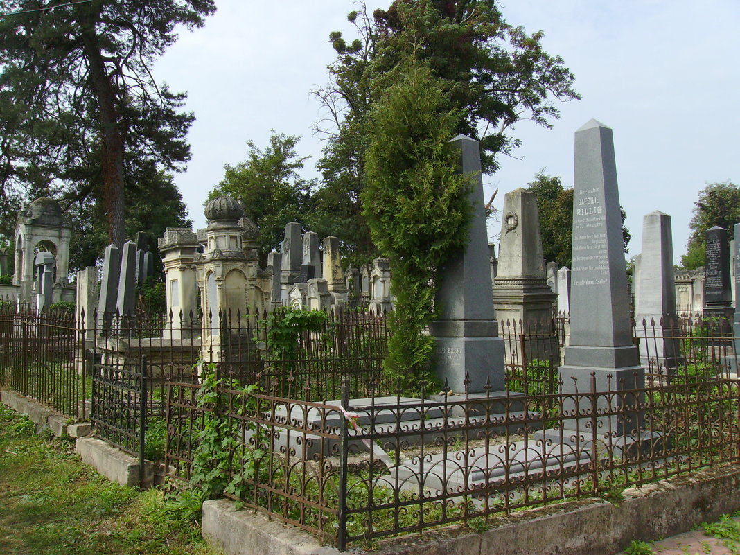 Старое  еврейское  кладбище  в  Черновцах - Андрей  Васильевич Коляскин