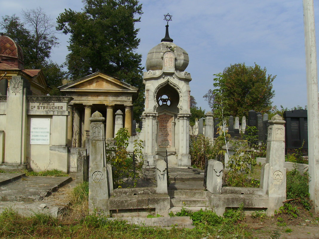 Старое  еврейское  кладбище  в  Черновцах - Андрей  Васильевич Коляскин