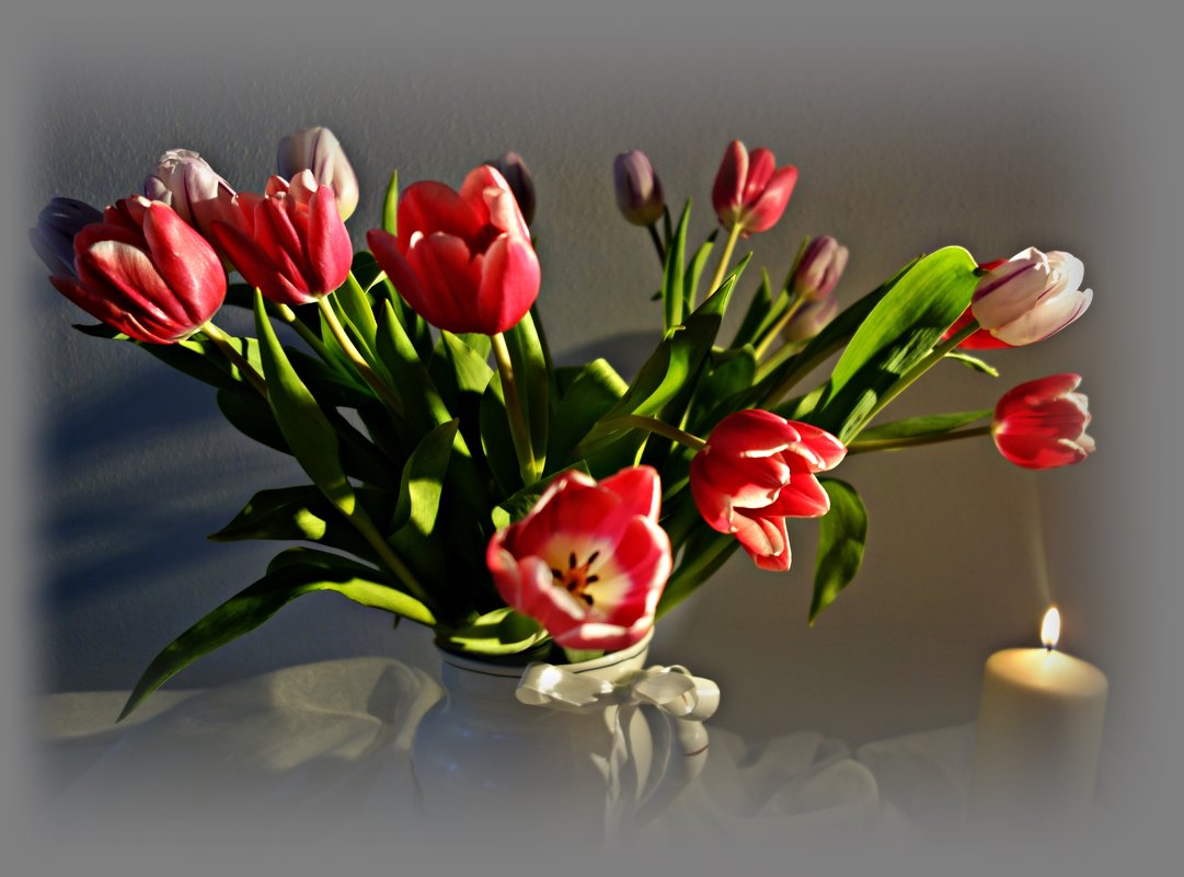 "Так грациозны, так божественно милы... Непревзойдённо выглядят тюльпаны..." - Galina Dzubina