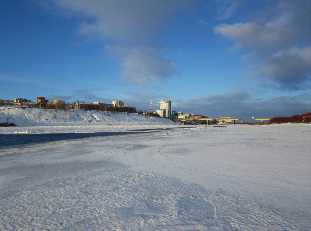 Зимний пляж - Лариса Чудиновских