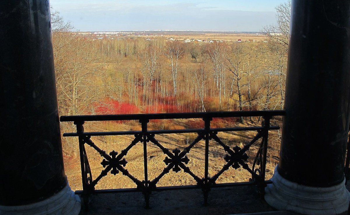 Вид с балкона Бельведера - Елена Павлова (Смолова)