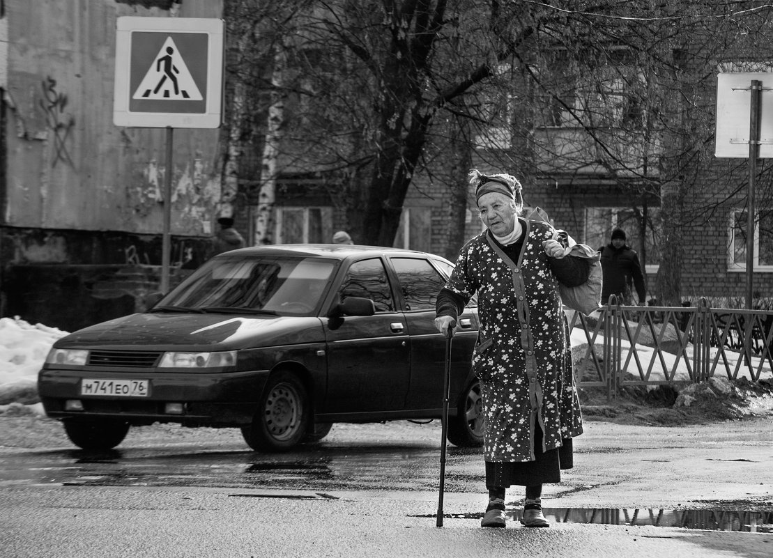 Одинокая весна - Владимир Голиков