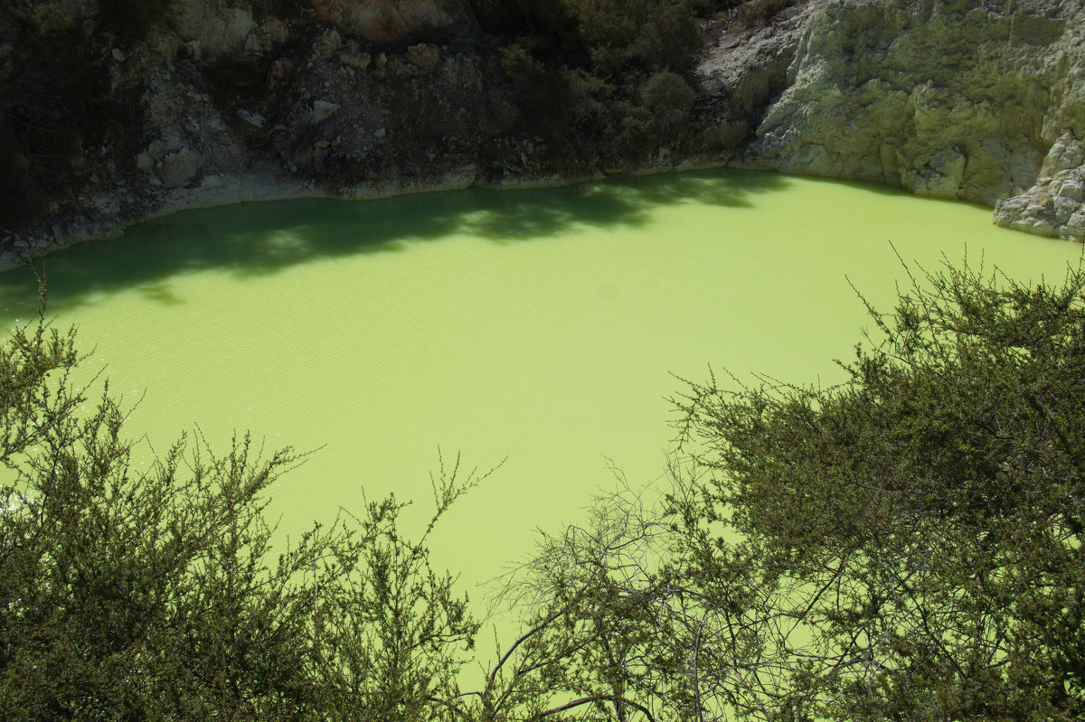 Бассейн Дьявола в геотермальном парке Wai o tapu - Irina Shtukmaster