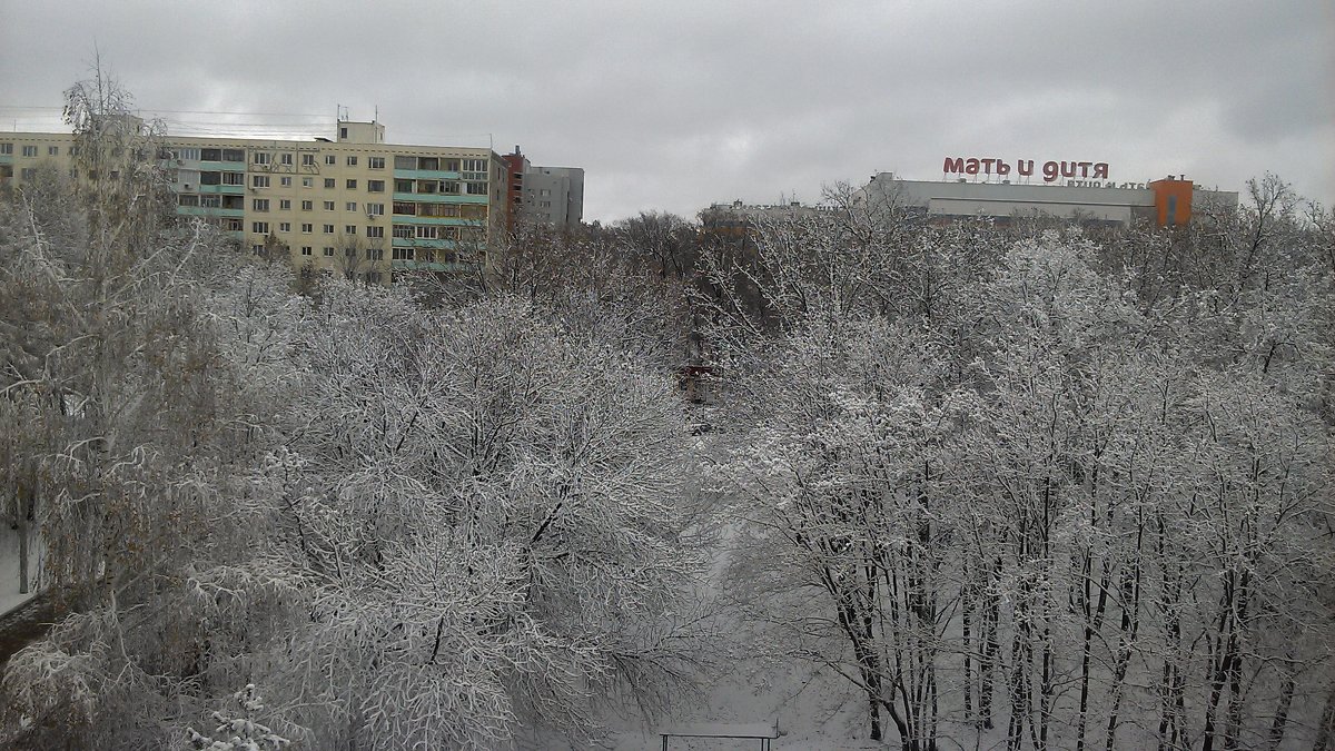 Зимний лес в городе - Владимир Ростовский 