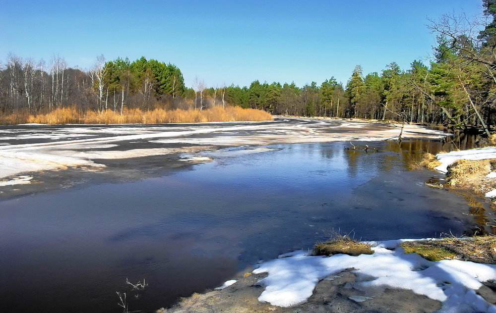 Набирает силы вешняя вода... - Лесо-Вед (Баранов)