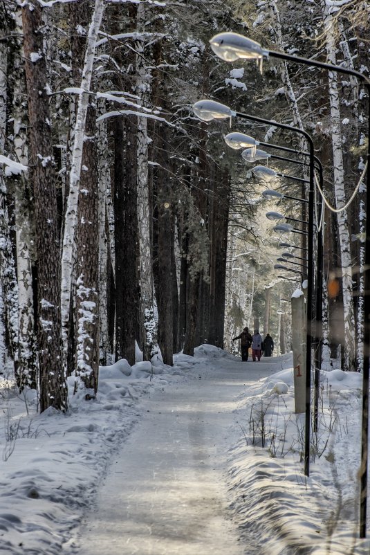 winter corridor - Dmitry Ozersky