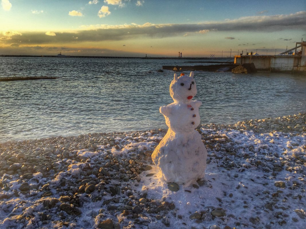 Снеговик в Сочи на берегу Черного моря - Николай Милоградский