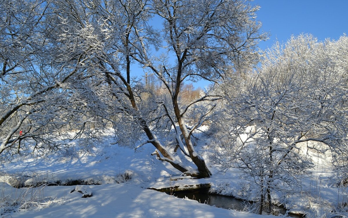 Зимний пейзаж в марте - Милешкин Владимир Алексеевич 