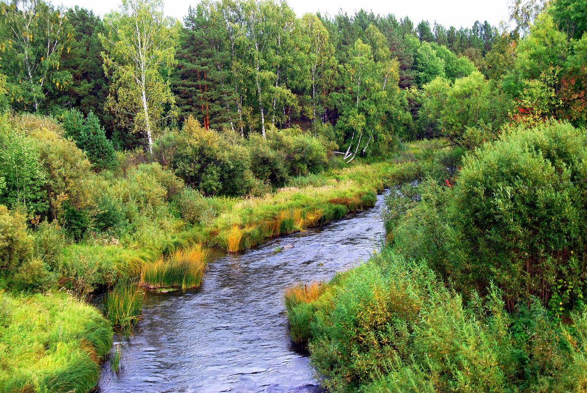 река Алчедат - Cергей Александров