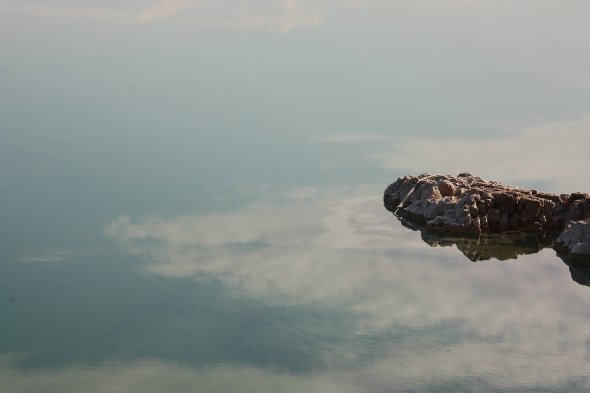 Михаил Свадковский - rocky croc in Dead Sea - Фотоконкурс Epson