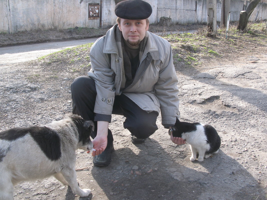 Войну между кошками и собаками останавливает доброта человека - Алекс Аро Аро