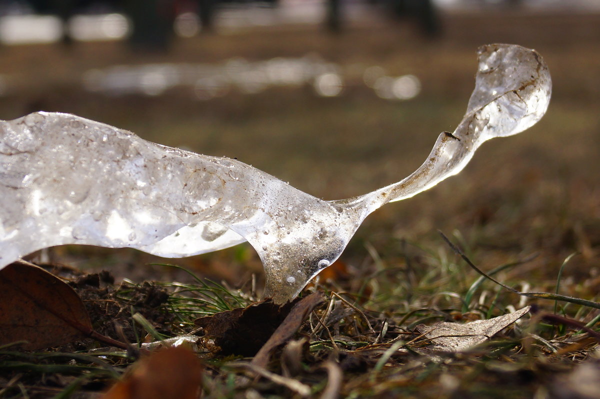 Ледяная фигура природы - Andy Bayt
