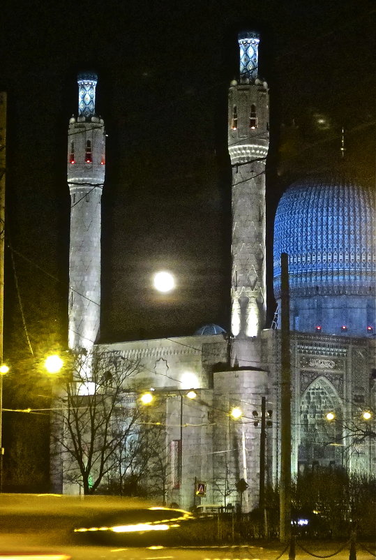 мечеть с луной - Елена 