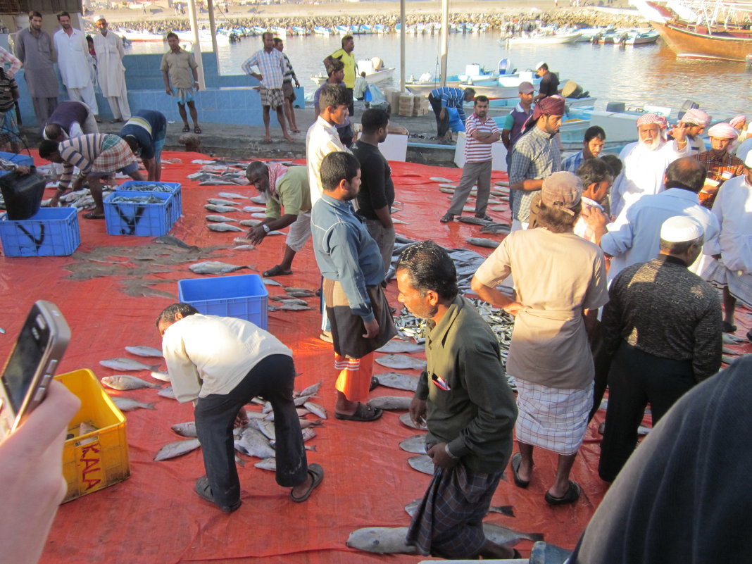 Оман.Рыбный базар-2 - Елена Байдакова