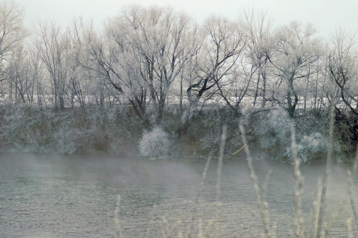 Зимний туман - sorovey Sol