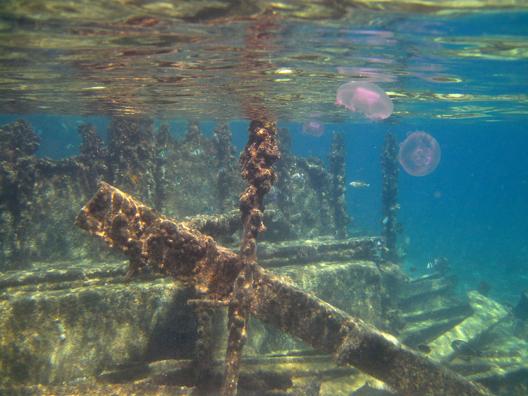 Подводный мир затонувшего корабля - Lukum 