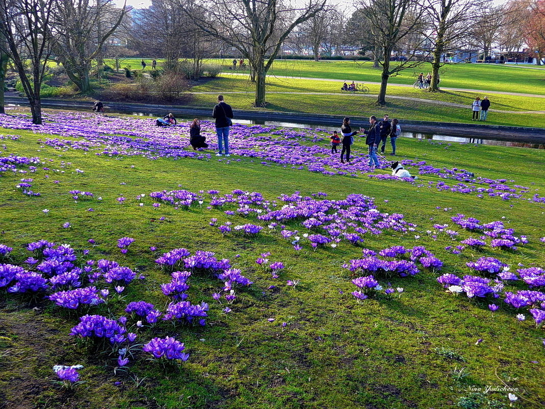 Hamburg. Planten un Blomen - Nina Yudicheva