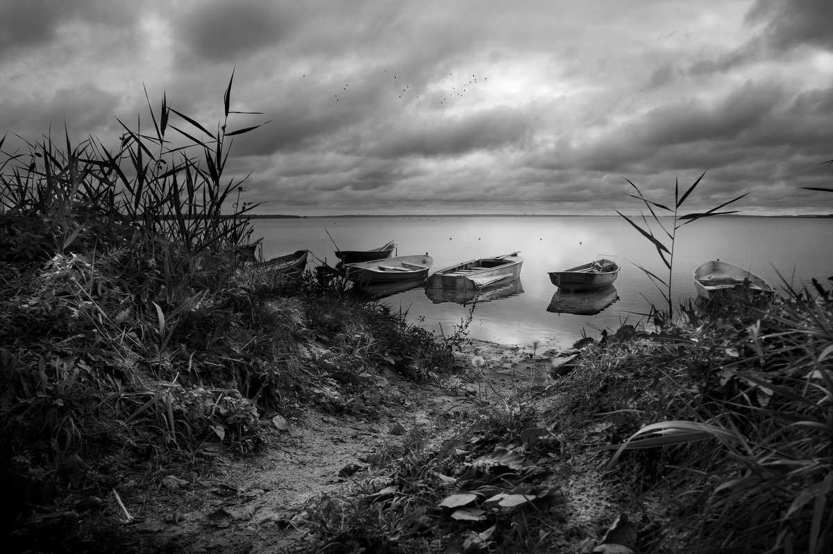 Пасмурный вечер на озере - Андрей Иванов