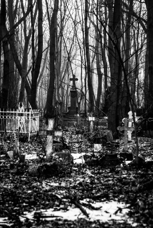 смоленское кладбище в утреннем тумане - Владислав Попов