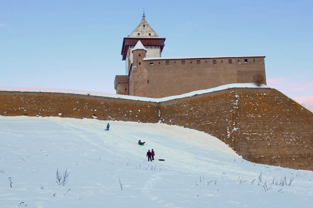 крепость зимой - linnud 