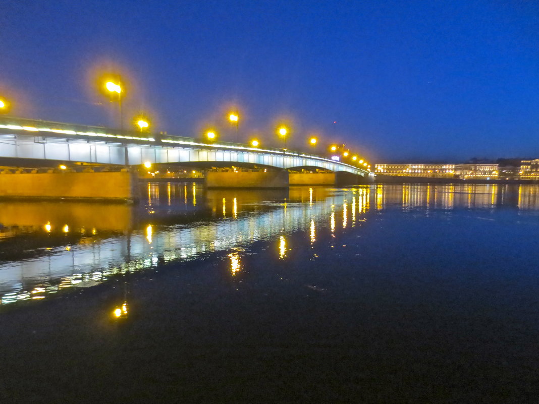 Литейный мост ночью - Елена 