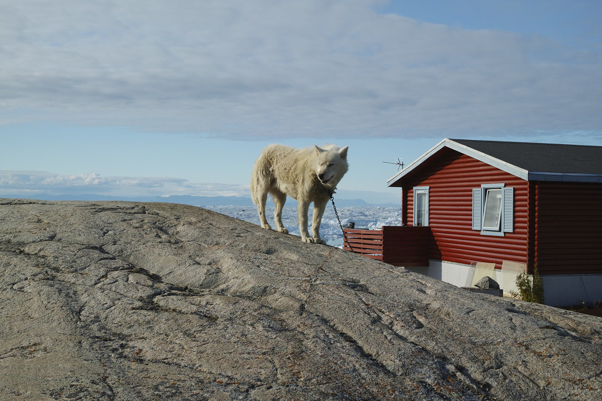 Greenland 2016 - владимир 