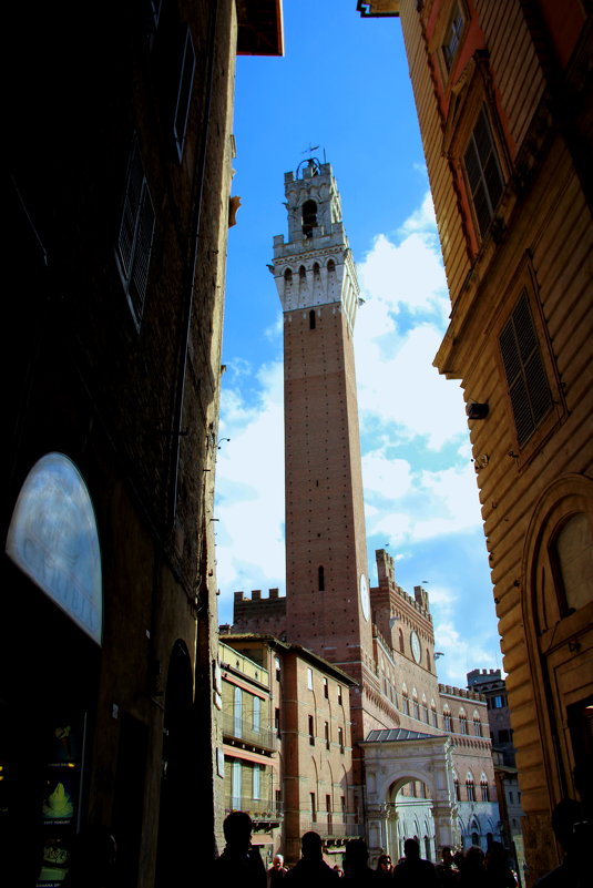 Siena - Юлия Склярова