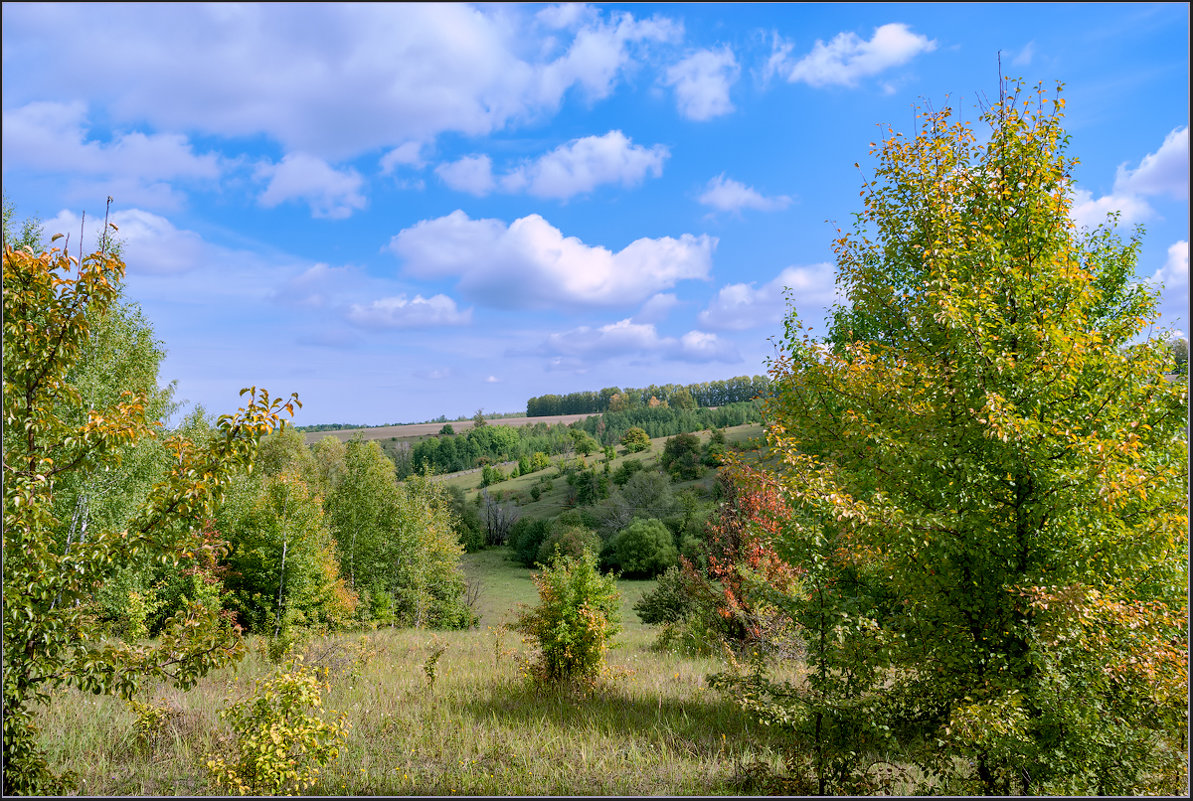 *** - Александр Лихачёв