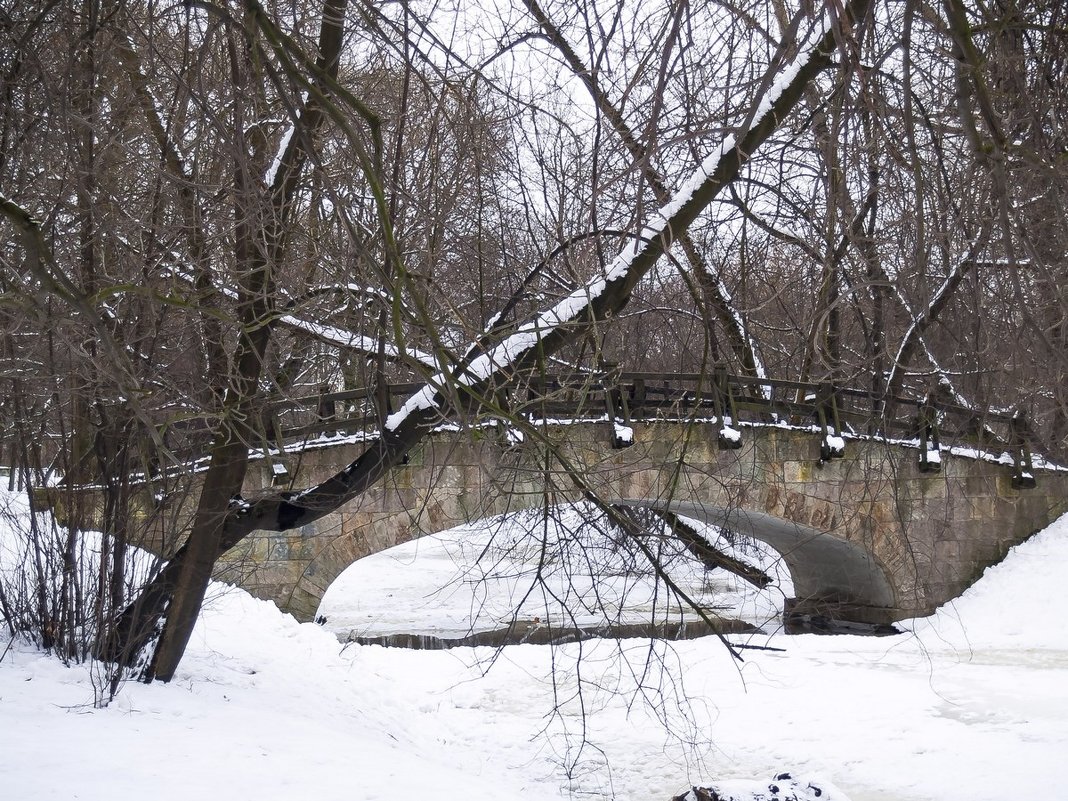 Мост в парке - Елена Кириллова