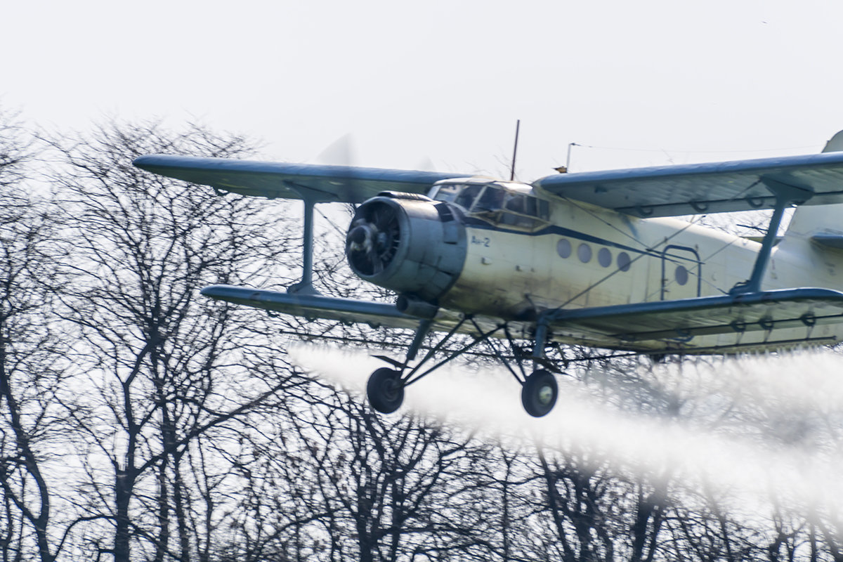 Ан-2 - Игорь Сикорский