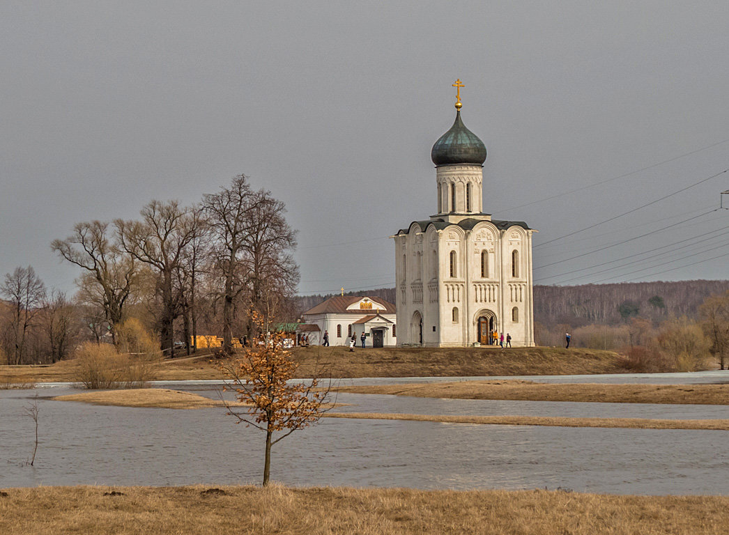 храм Покрова-на-Нерли - Сергей Цветков