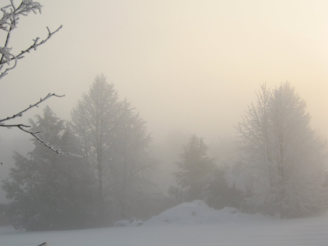 туманное зимнее утро - Balakhnina Irina