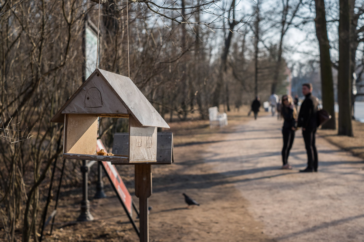 Весна в Царском селе - Андрей Илларионов