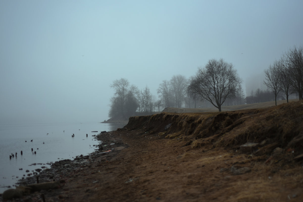 Туманное утро в Санкт-Петербурге - Таня Бакулина