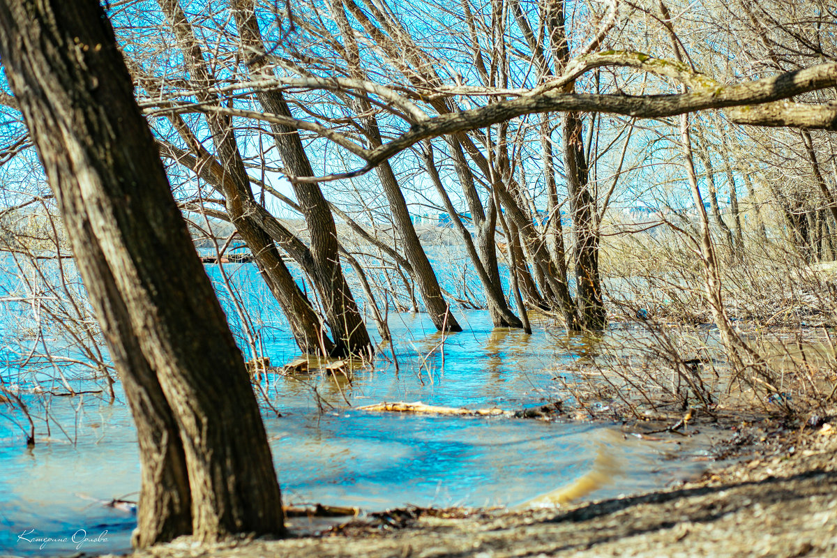 То ли небо в воде, то ли вода в небе - Катерина Орлова