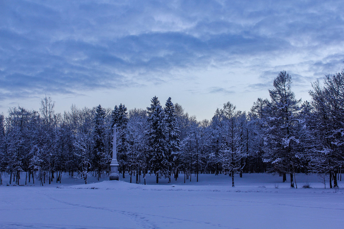 Зимний пейзаж - Алёнка Шапран