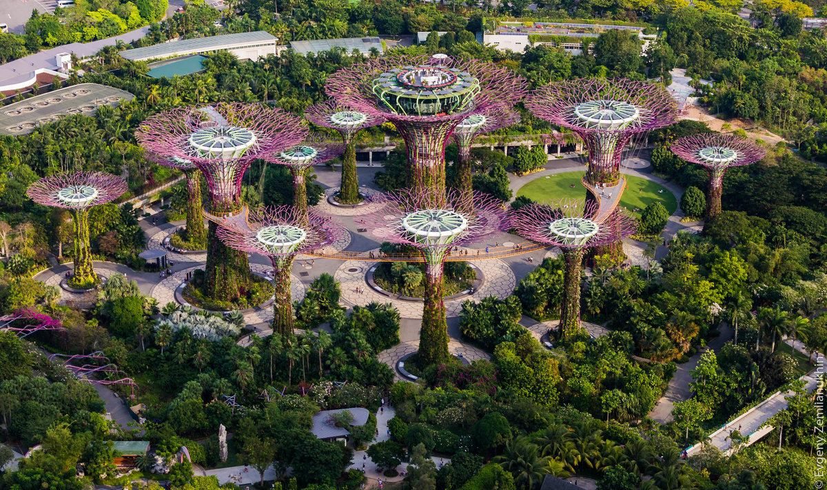 Gardens by the Bay. Singapore - Евгений Землянухин