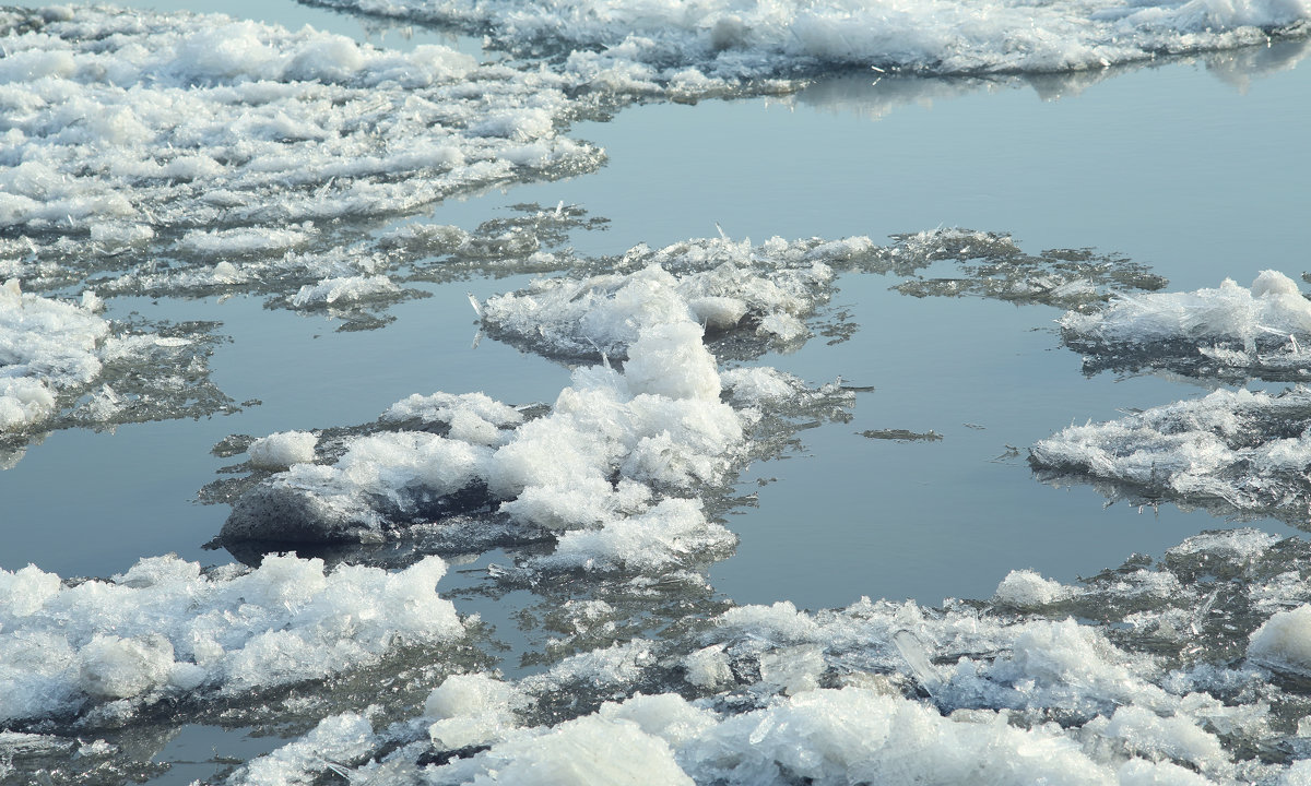 Последние льдинки уходящей Зимы, 2016 - Марина Щуцких