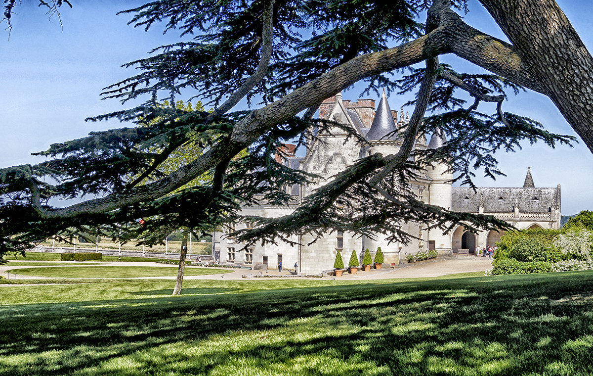 château d'Amboise - Alex 