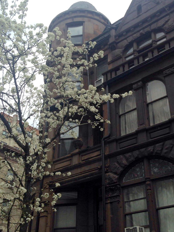 Весна в Нью-Йорке - Елена 