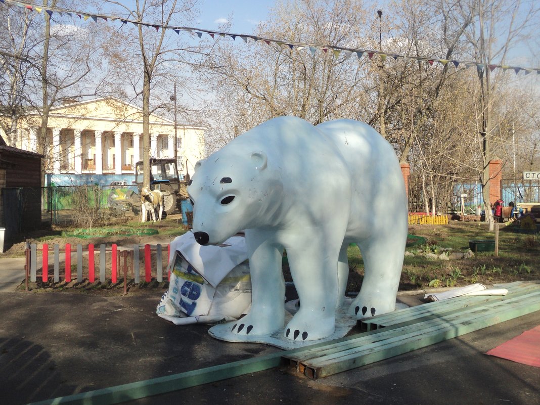 Белый медведь в Люберецком городском парке. - Ольга Кривых